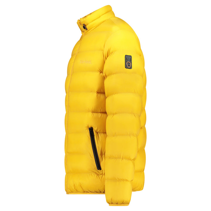 AVALANCHEORAL BASIC Homme Moutarde